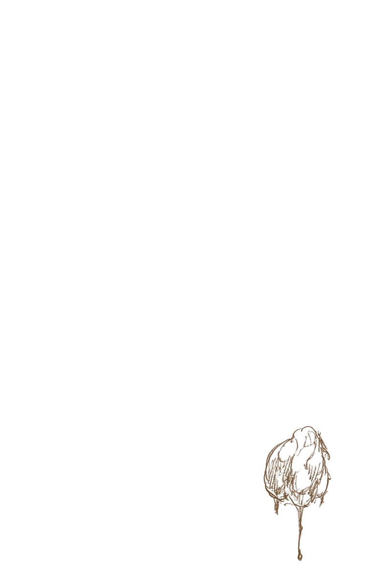 Read Bleach chapter 557 image 16 on Lezhin