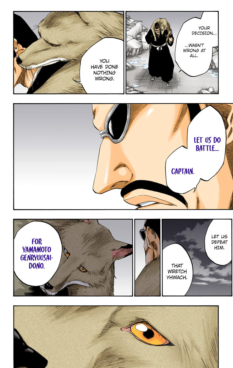 Read Bleach chapter 558 image 17 on Lezhin