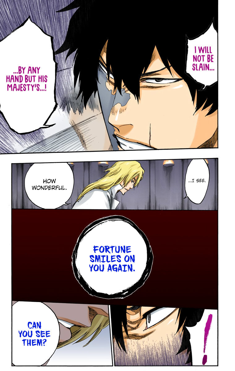 Read Bleach chapter 559 image 13 on Lezhin