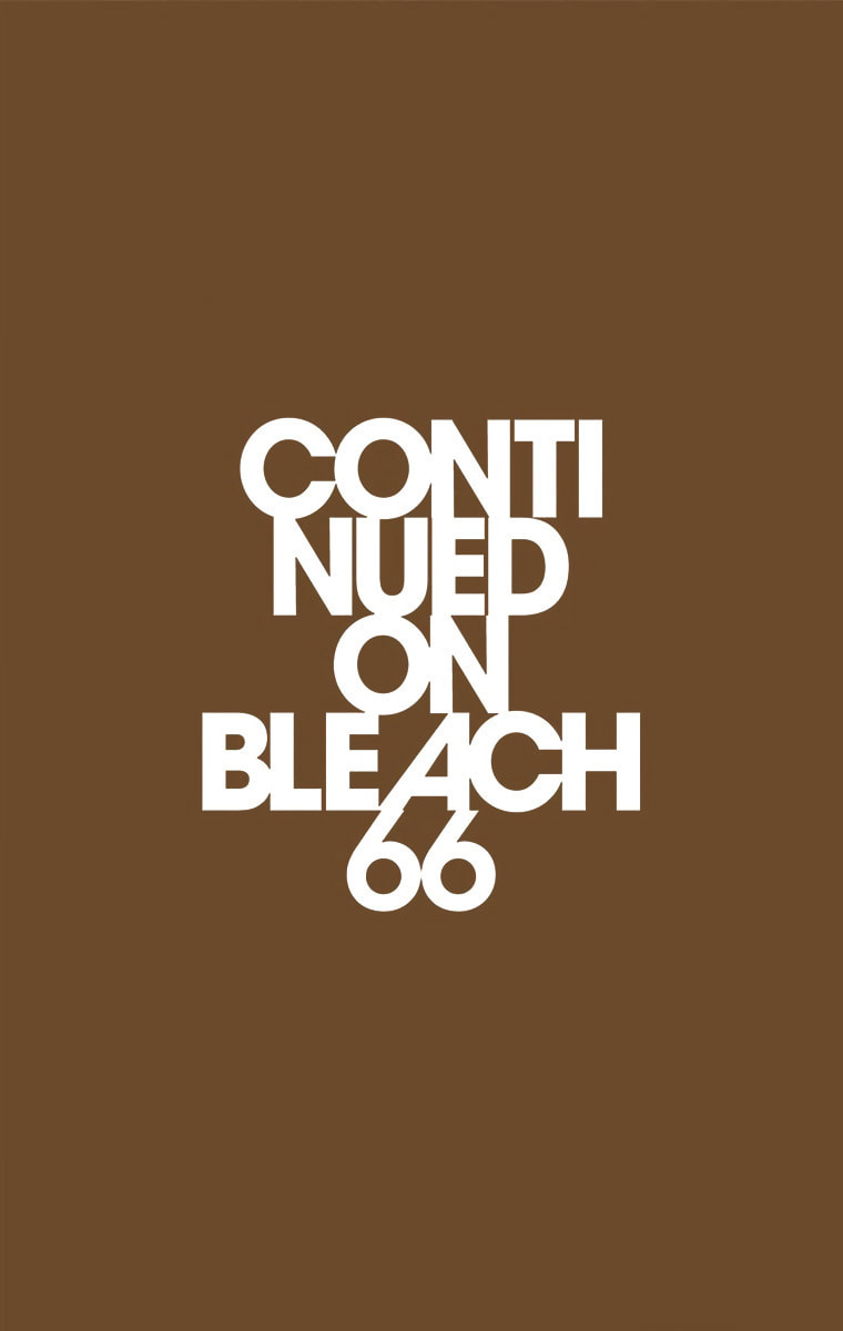 Read Bleach chapter 591 image 22 on Lezhin