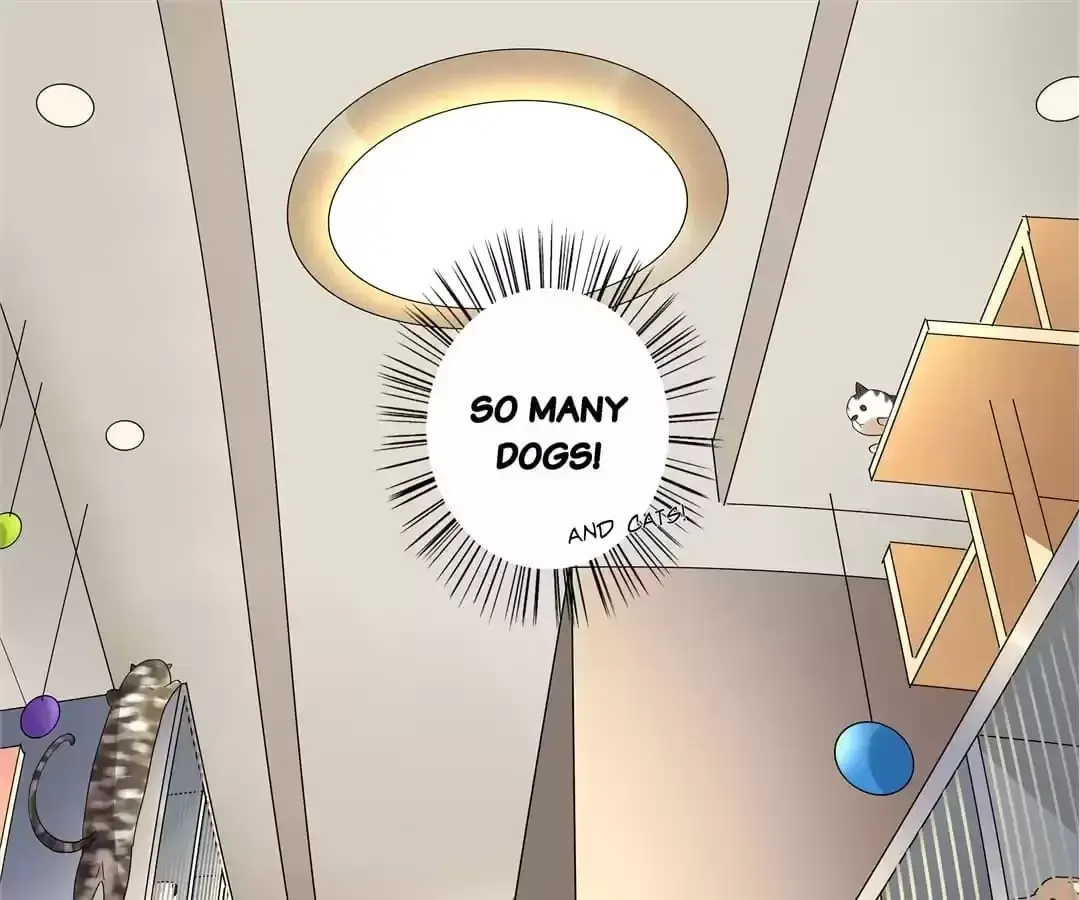 Blind Date Terminator Chapter 101 page 54 - 