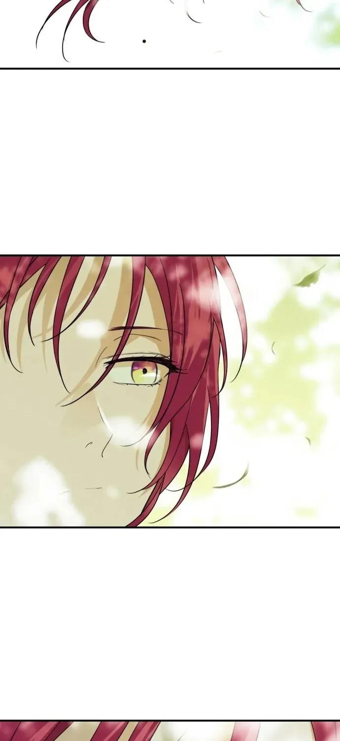 Read Blinded By The Setting Sun chapter 112 image 4 on Lezhin