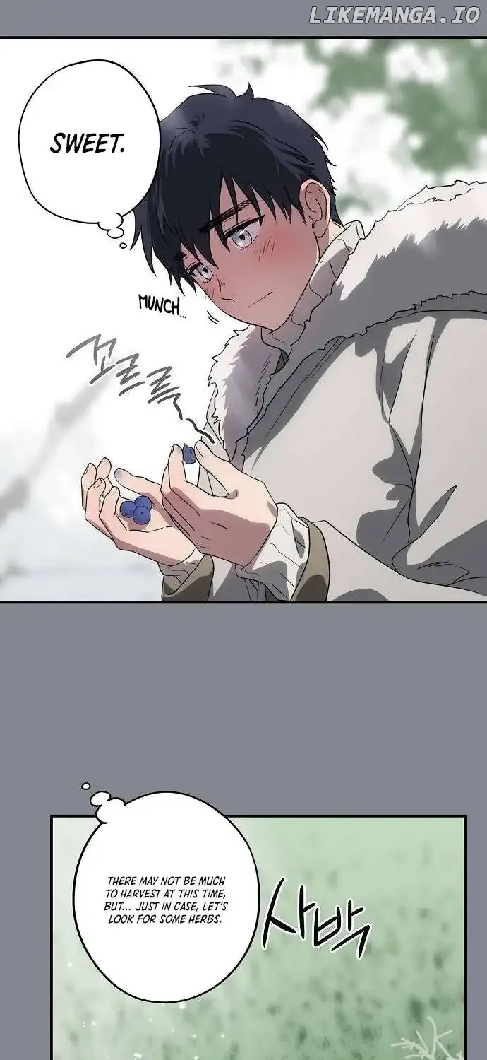 Read Blinded By The Setting Sun chapter 157 image 11 on Lezhin