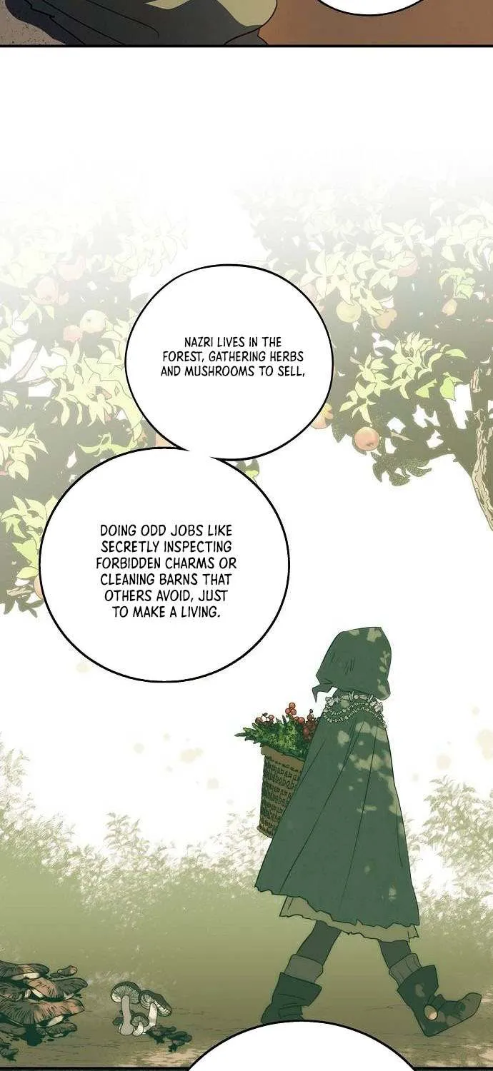 Read Blinded By The Setting Sun chapter 165 image 41 on Lezhin