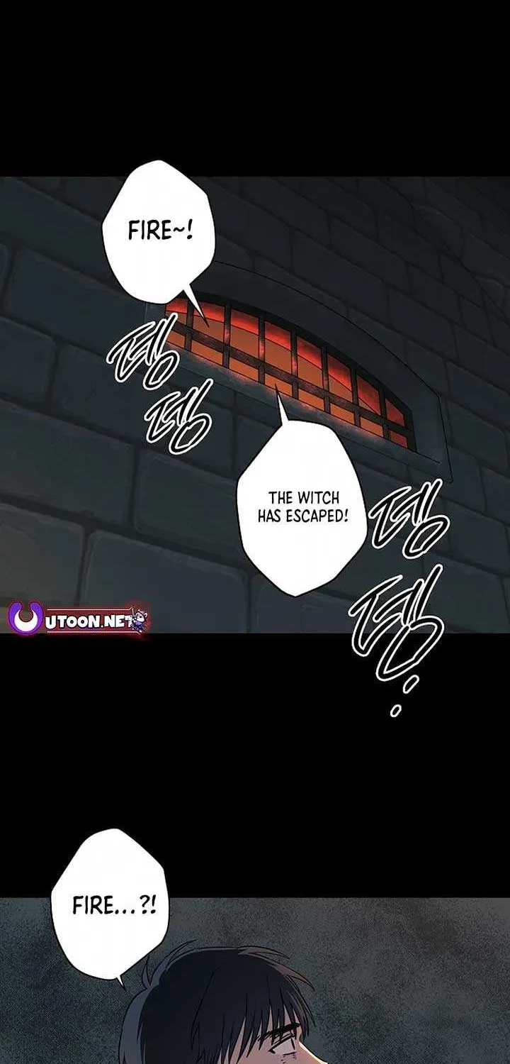 Read Blinded By The Setting Sun chapter 184 image 43 on Lezhin