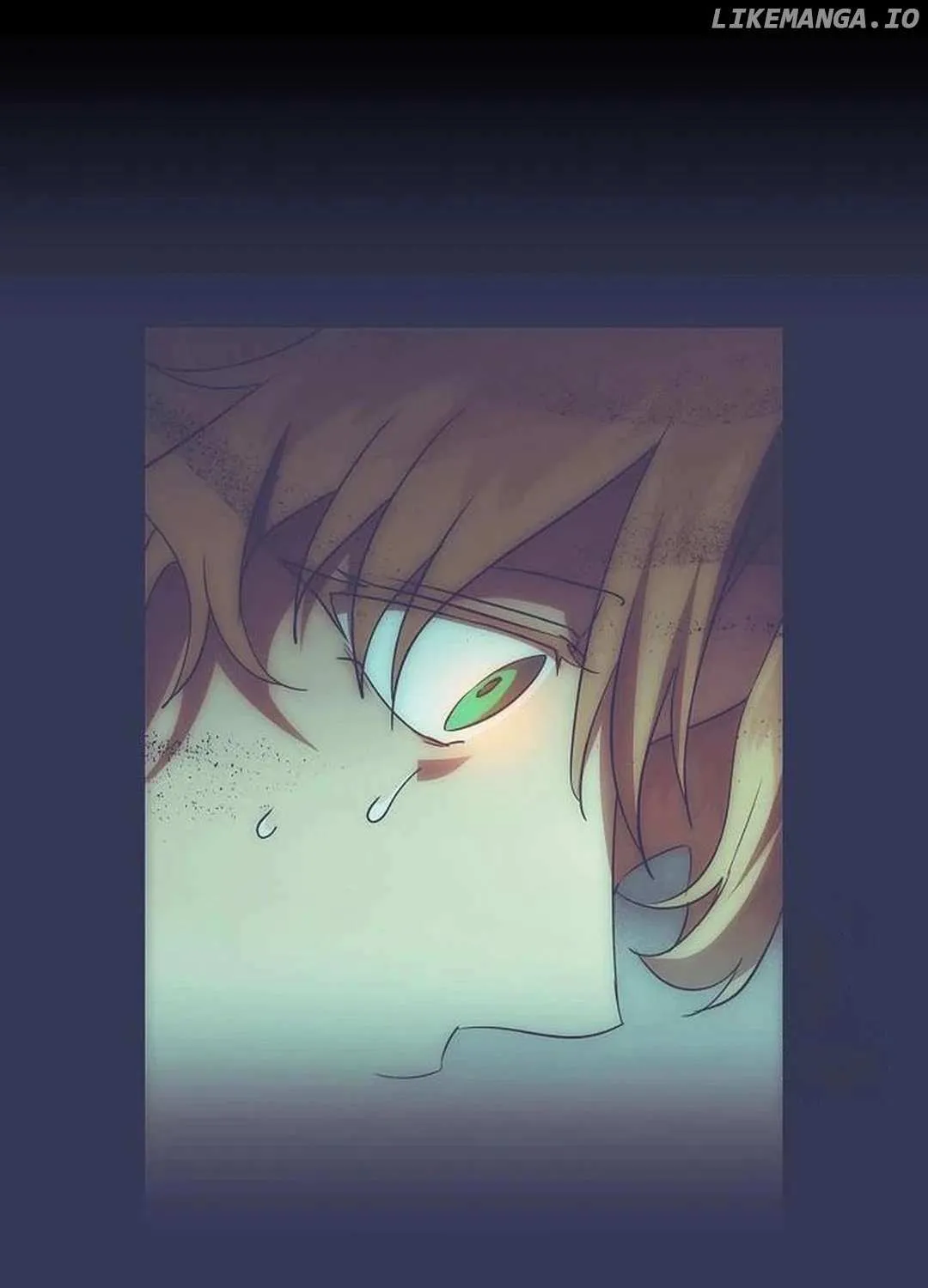 Read Blinded By The Setting Sun chapter 207 image 15 on Lezhin