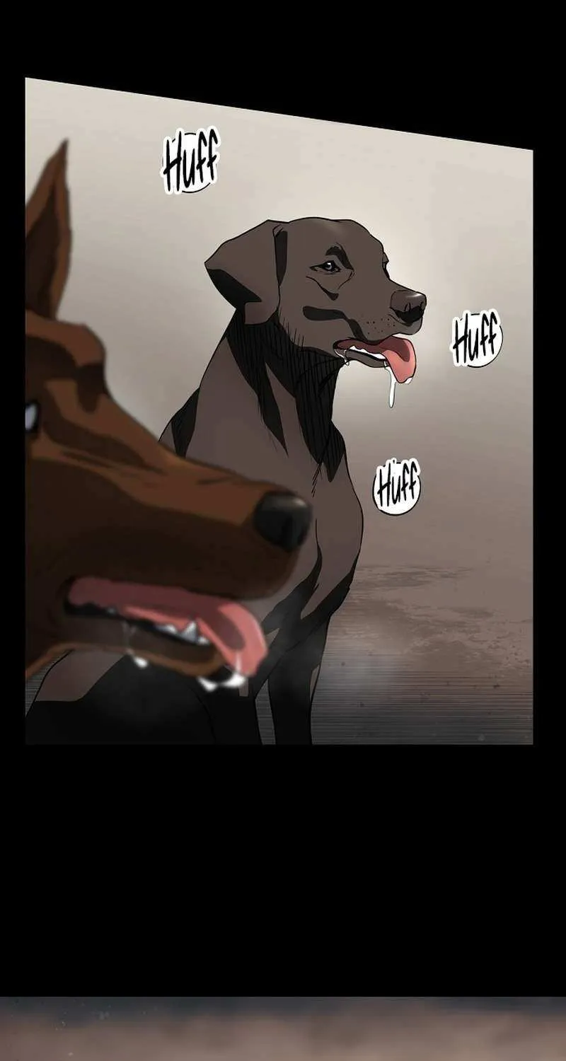Read Blinded By The Setting Sun chapter 213 image 22 on Lezhin