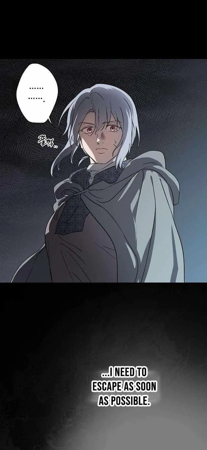 Read Blinded By The Setting Sun chapter 215 image 39 on Lezhin