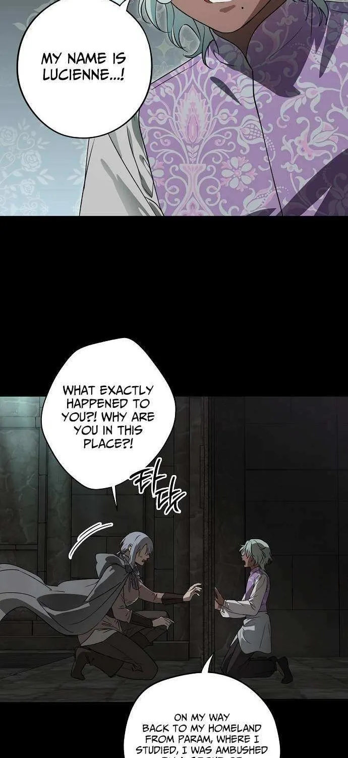 Read Blinded By The Setting Sun chapter 216 image 8 on Lezhin