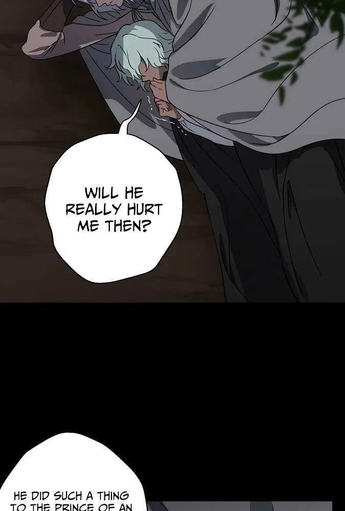 Read Blinded By The Setting Sun chapter 217 image 14 on Lezhin