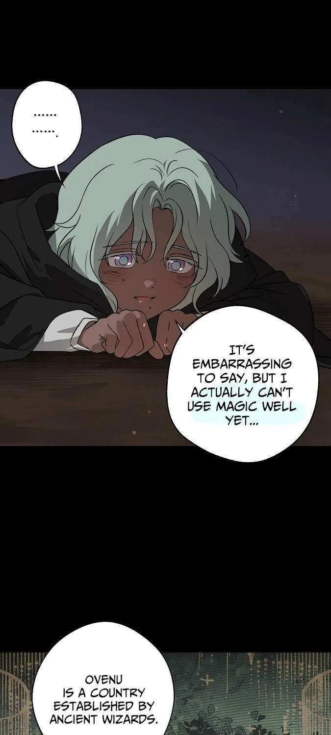 Read Blinded By The Setting Sun chapter 217 image 26 on Lezhin