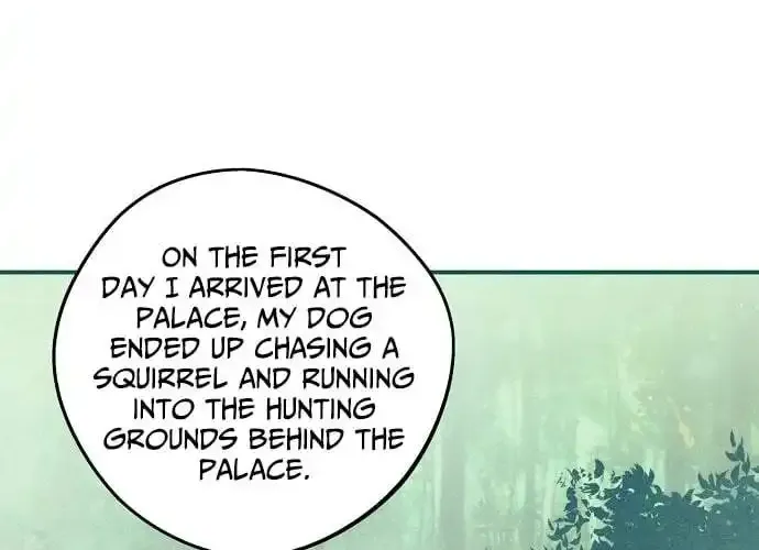 Read Blinded By The Setting Sun chapter 226 image 22 on Lezhin