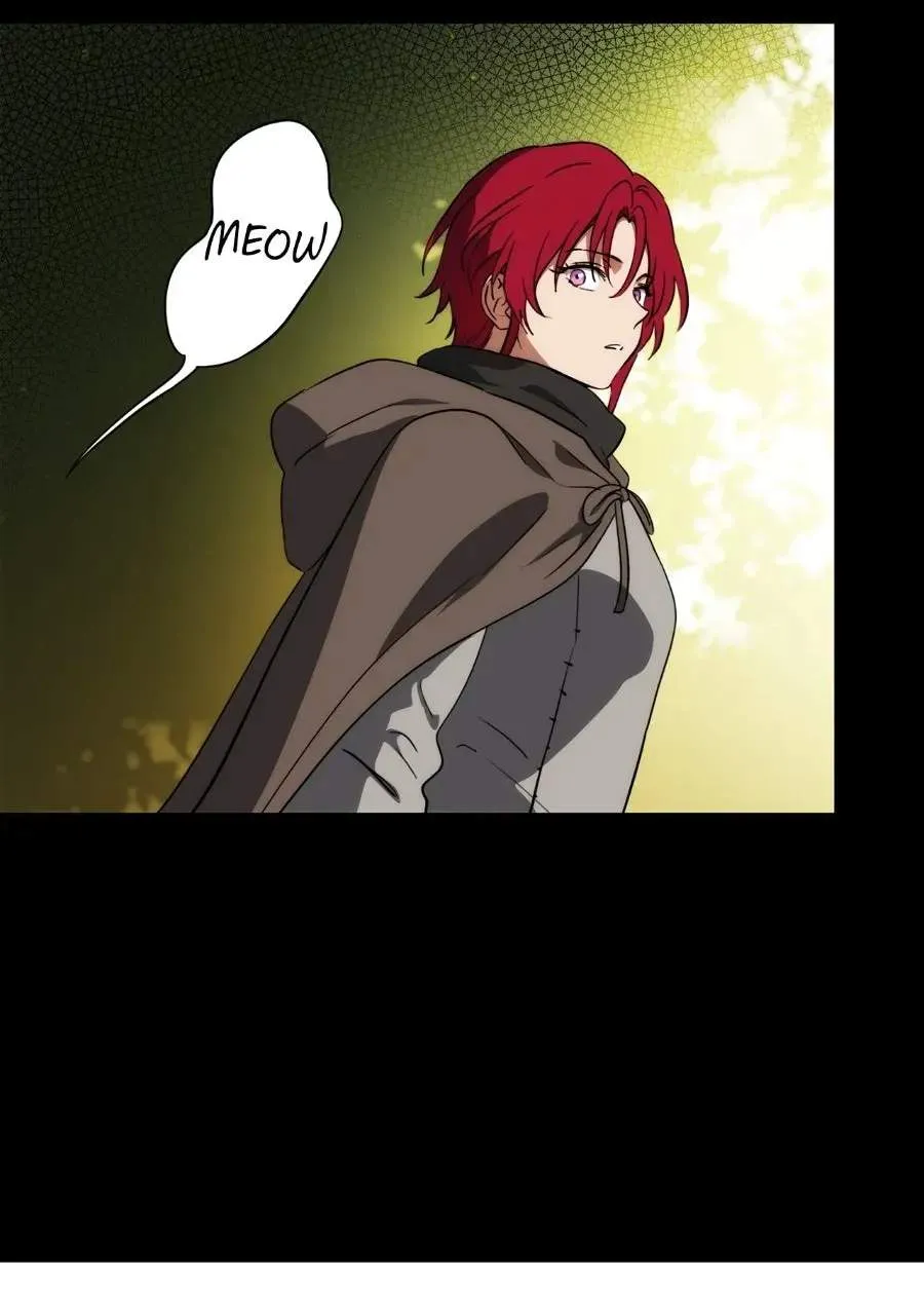 Blinded By The Setting Sun Chapter 230 page 41 - 