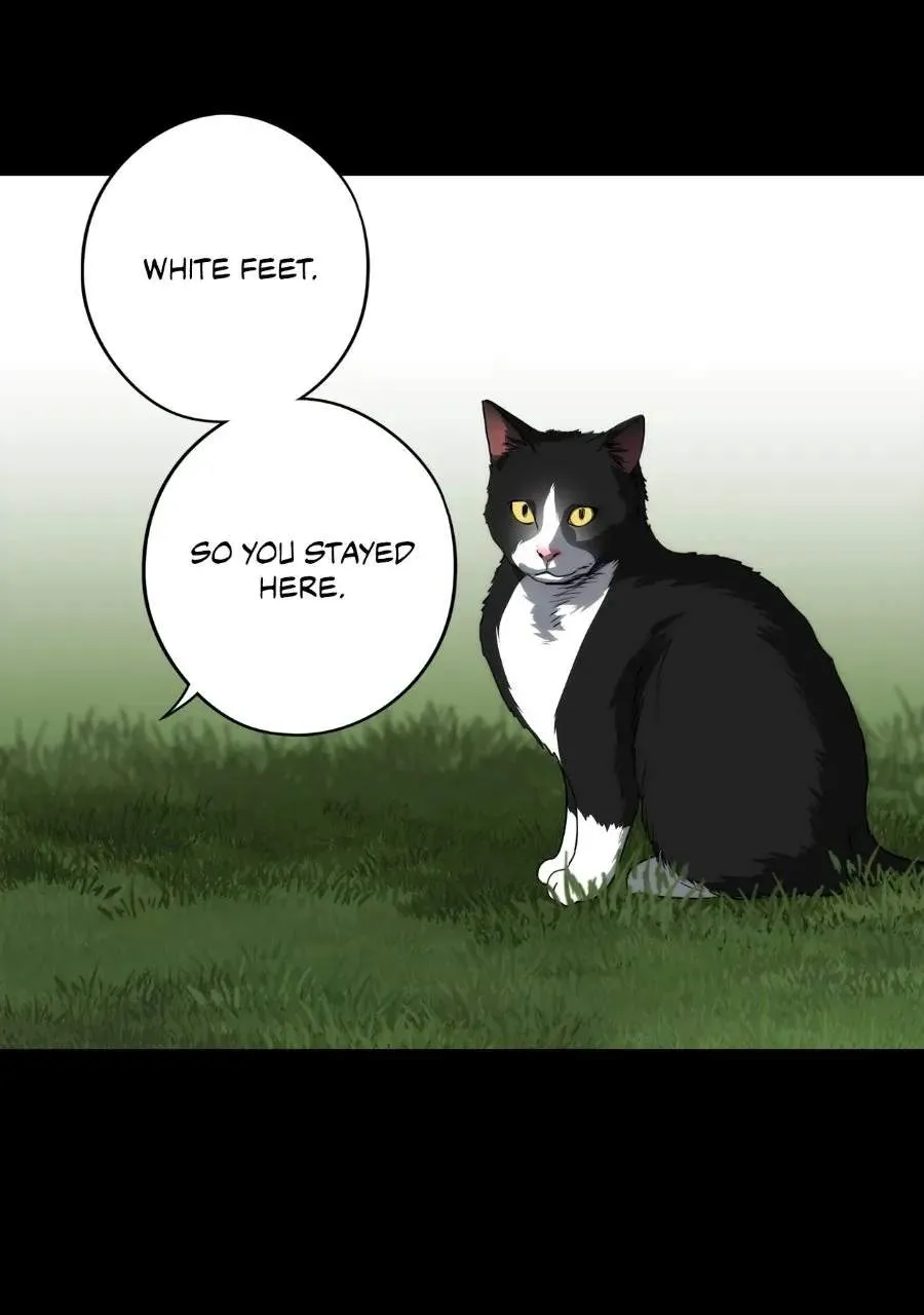 Blinded By The Setting Sun Chapter 230 page 43 - 