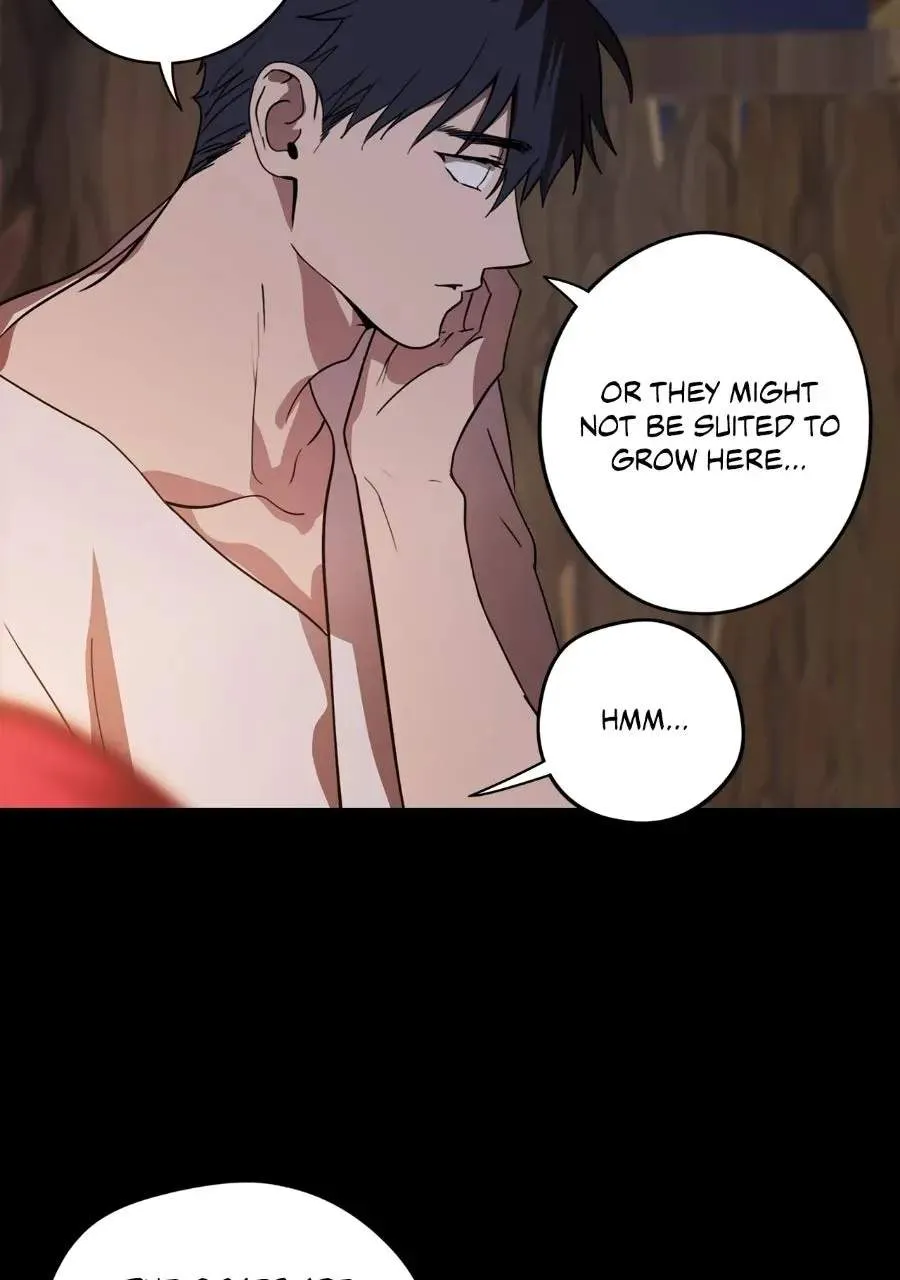 Blinded By The Setting Sun Chapter 231 page 60 - 