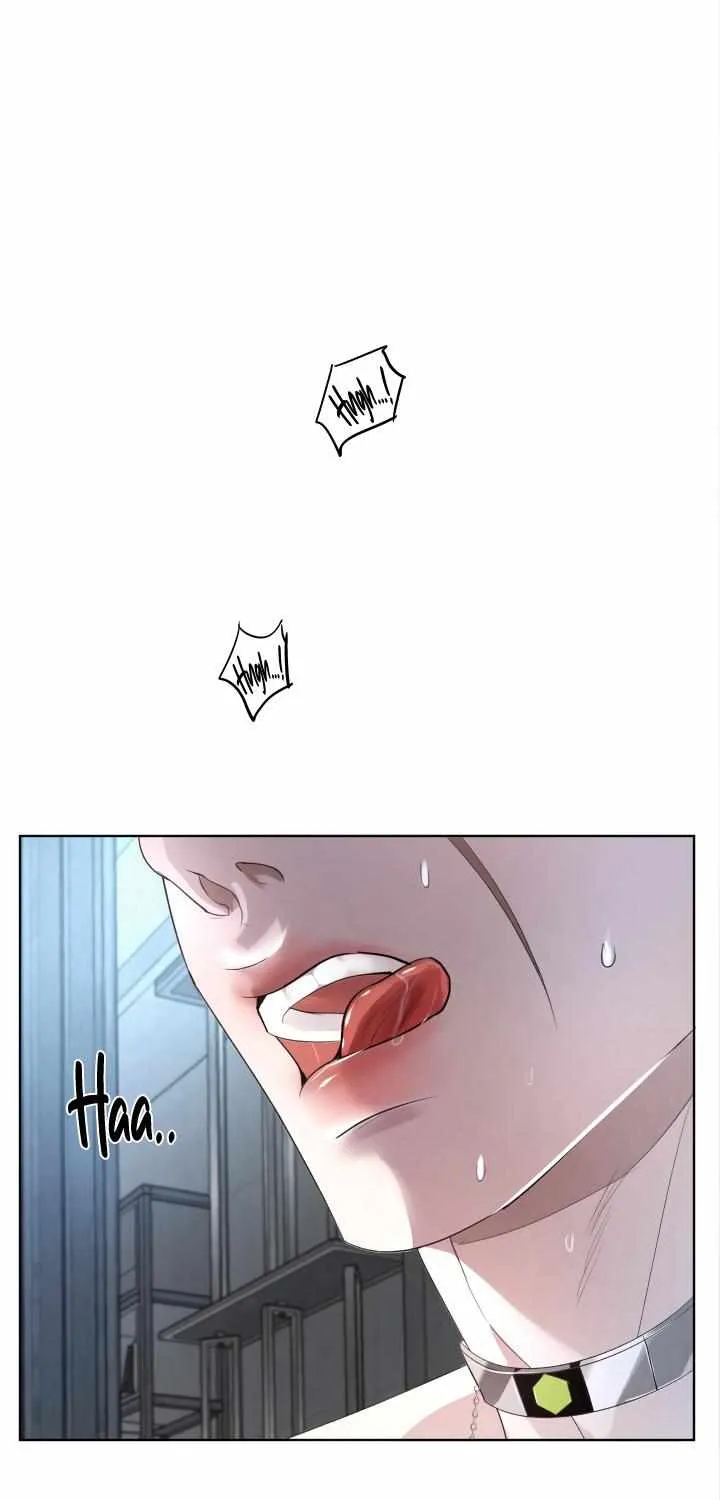 Read Bloodbound chapter 18 image 1 on Lezhin