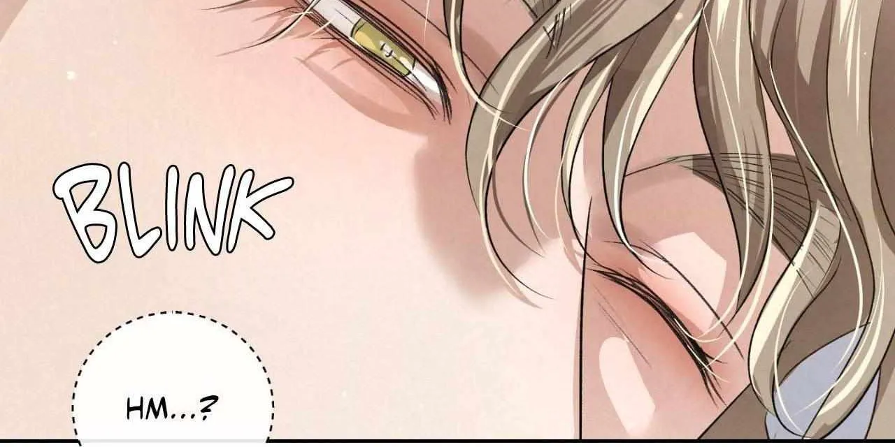 Read Bloodbound chapter 52 image 80 on Lezhin