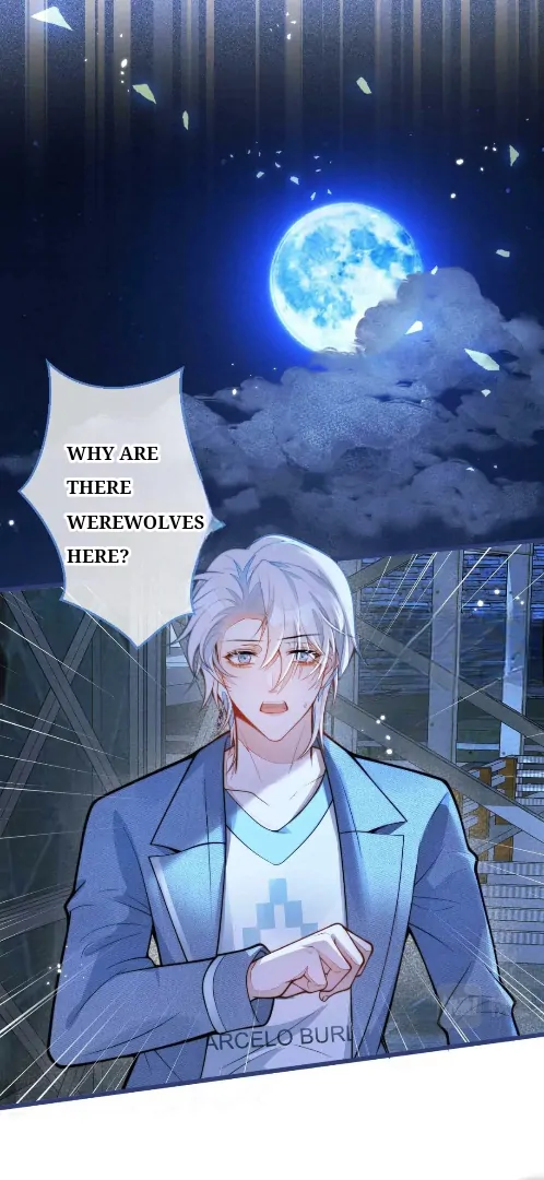 Read Bloodline survival guide chapter 6 image 22 on Lezhin