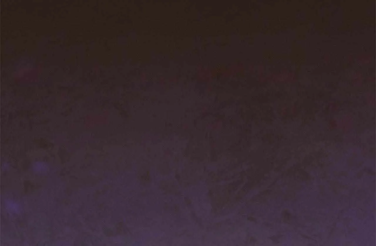 Bloody Moon (Yuzuya) Chapter 13 page 90 - 