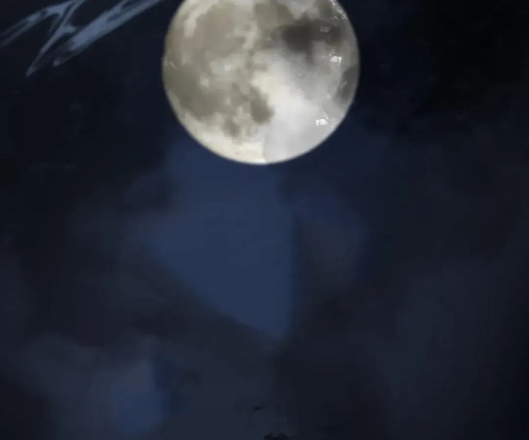 Read Bloom From Mistake chapter 12 image 1 on Lezhin
