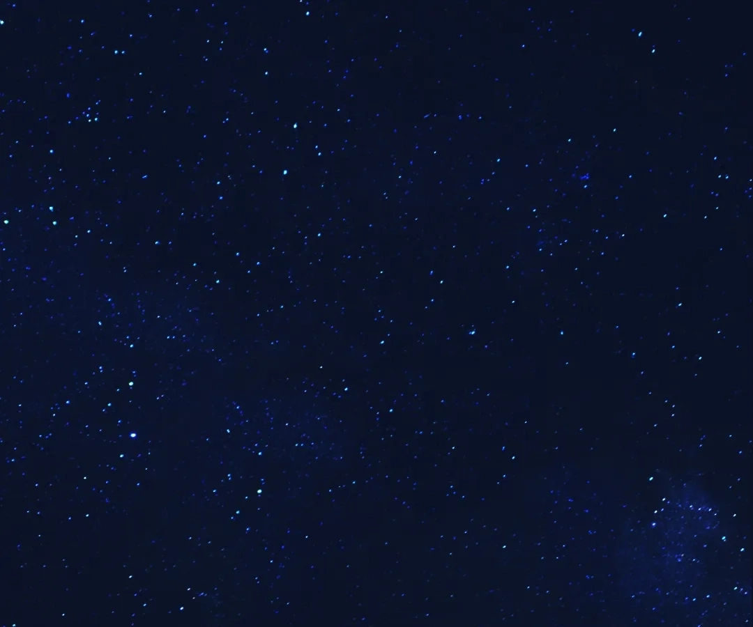 Read Bloom From Mistake chapter 22 image 1 on Lezhin