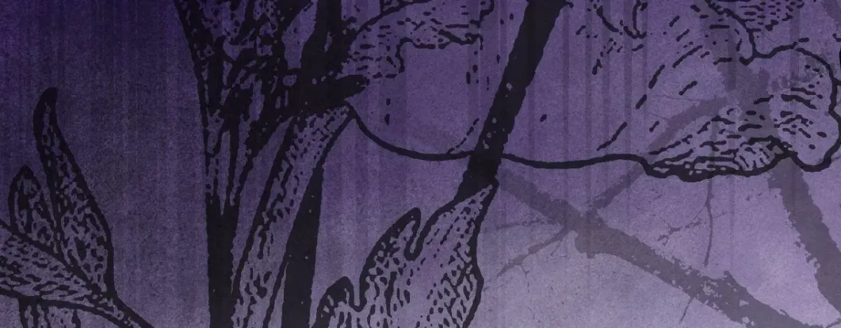 Bloom of Vengeance Chapter 116 page 60 - 