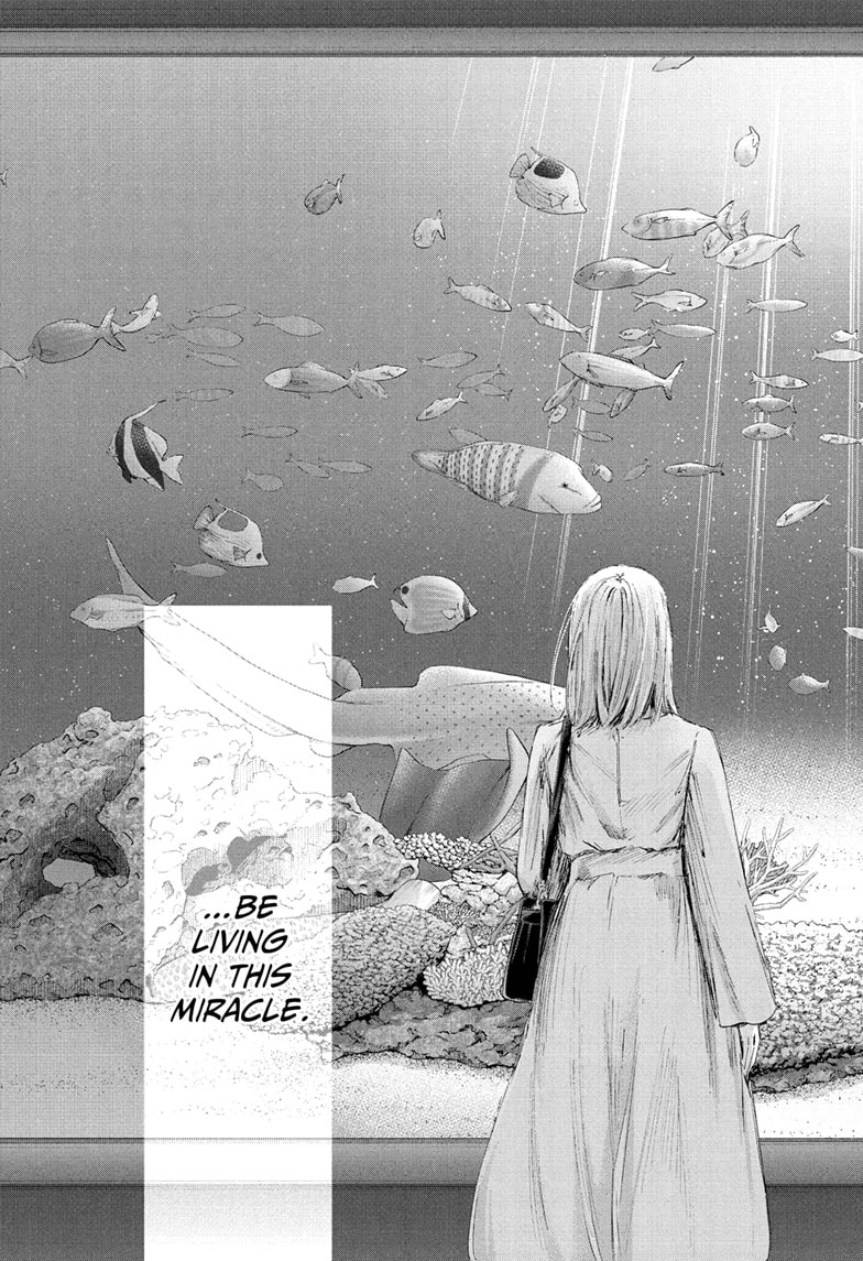 Read Blue Box chapter 235 image 12 on Lezhin