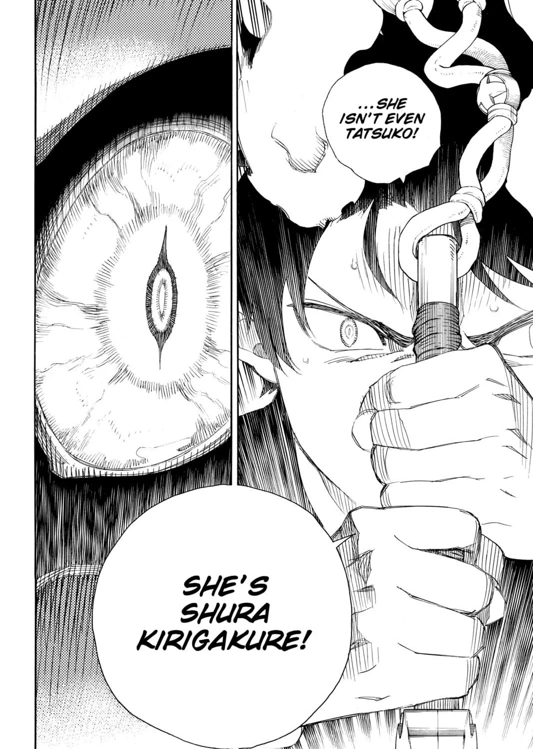 Read Blue Exorcist chapter 79 image 52 on Lezhin