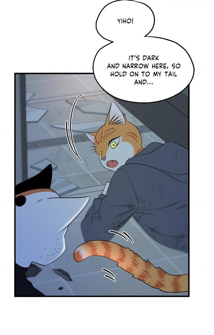Blue Project Chapter 101 page 23 - 