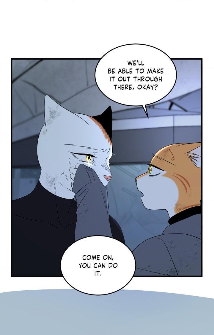 Blue Project Chapter 101 page 32 - 