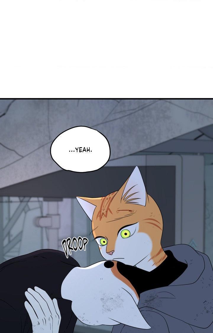 Blue Project Chapter 101 page 35 - 
