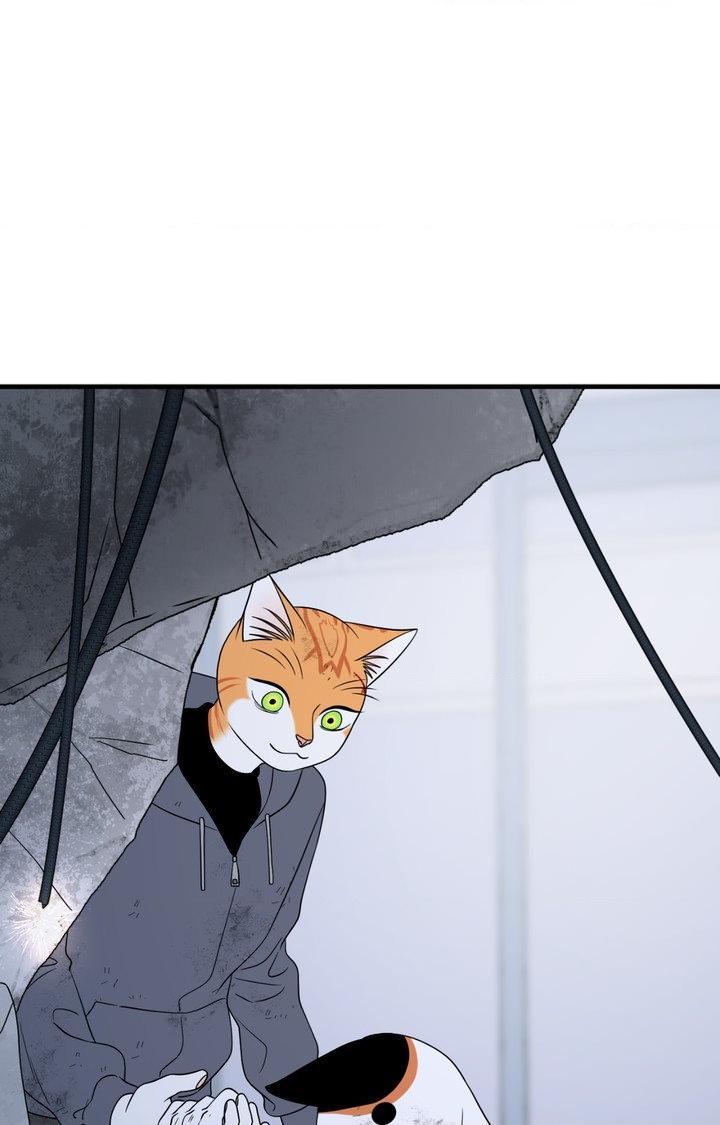 Blue Project Chapter 101 page 41 - 