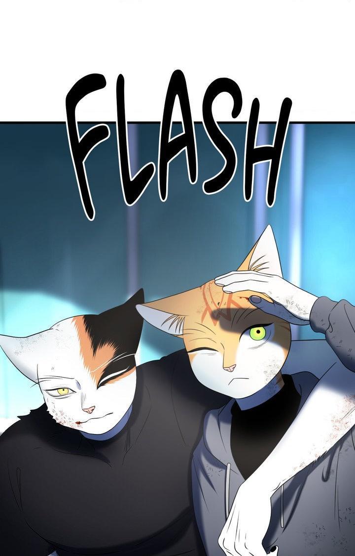 Blue Project Chapter 101 page 49 - 