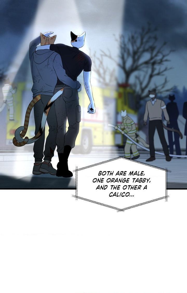 Blue Project Chapter 101 page 52 - 
