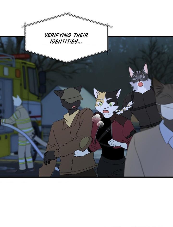 Blue Project Chapter 101 page 53 - 