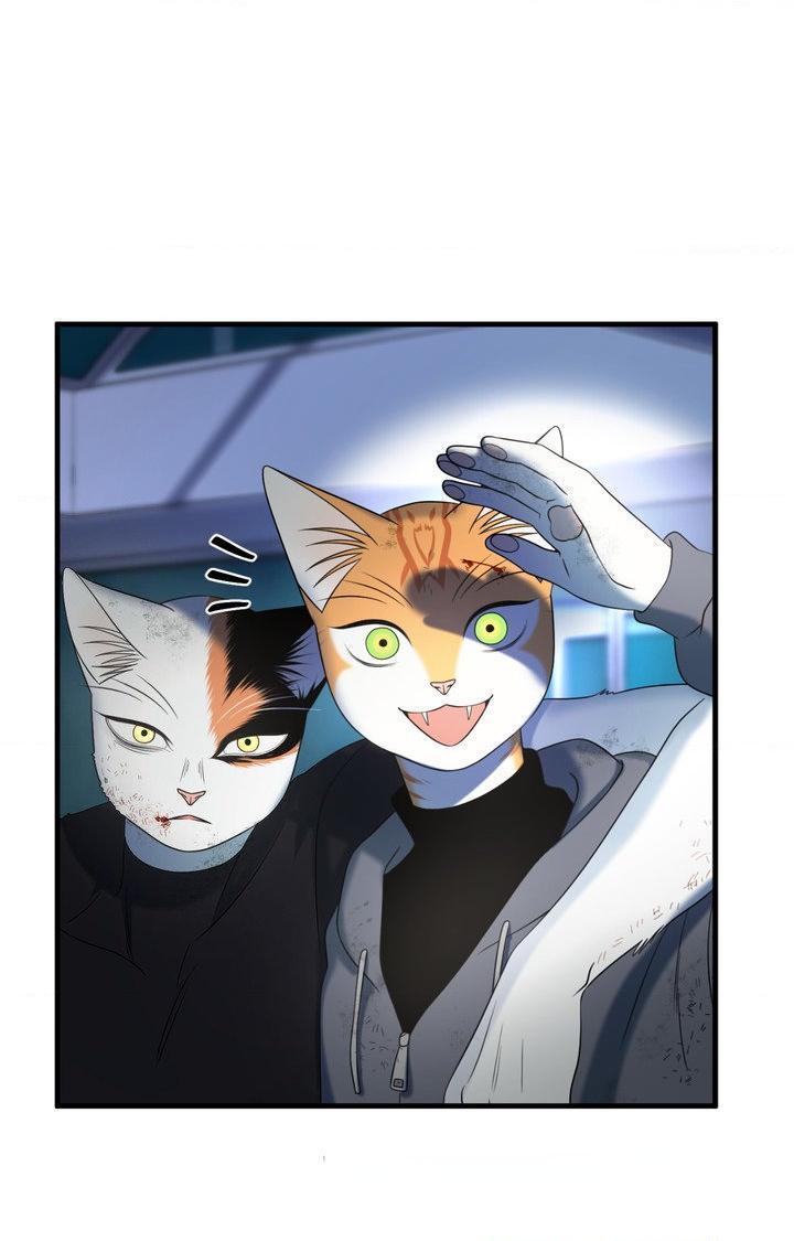 Blue Project Chapter 101 page 54 - 