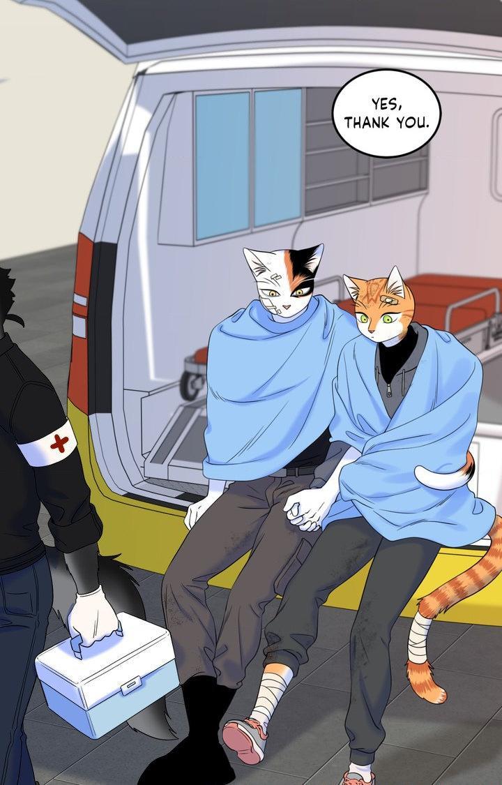 Blue Project Chapter 101 page 58 - 