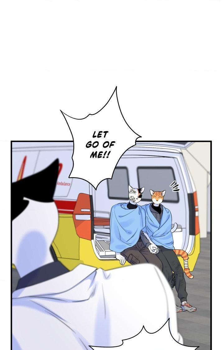 Blue Project Chapter 101 page 64 - 
