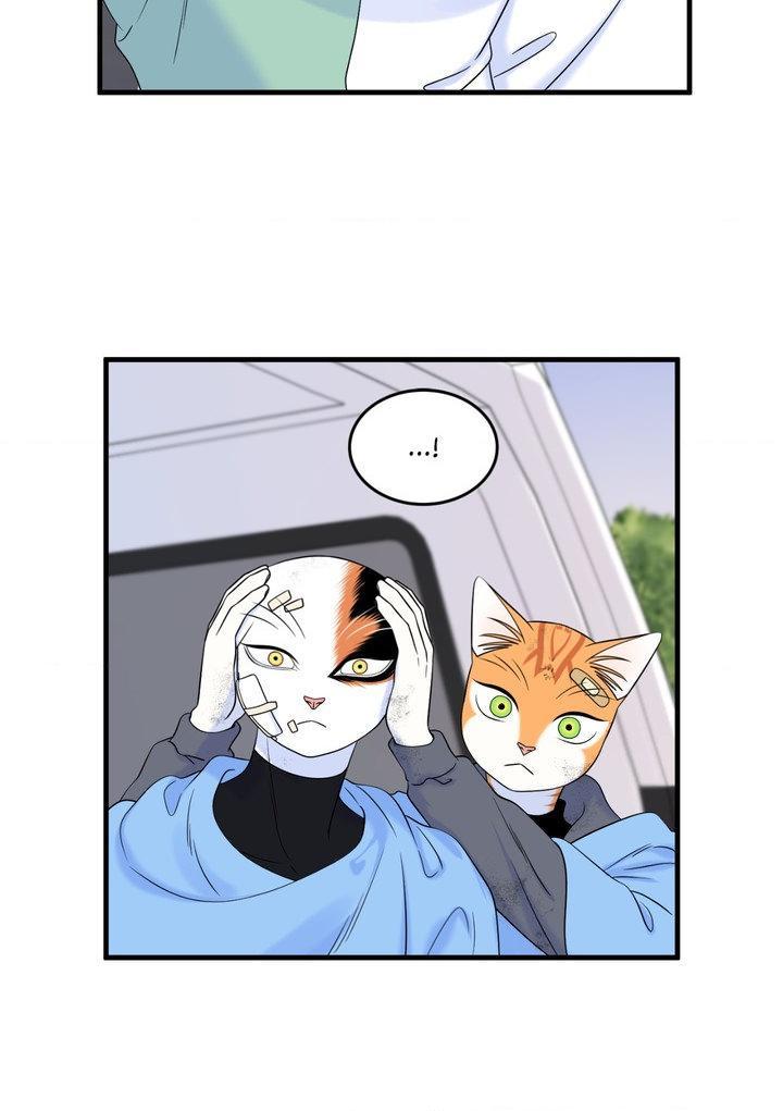 Blue Project Chapter 101 page 71 - 