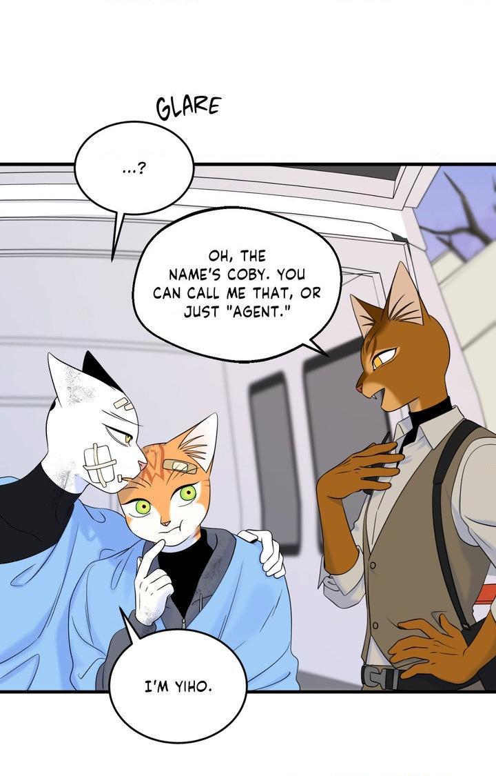 Blue Project Chapter 101 page 81 - 