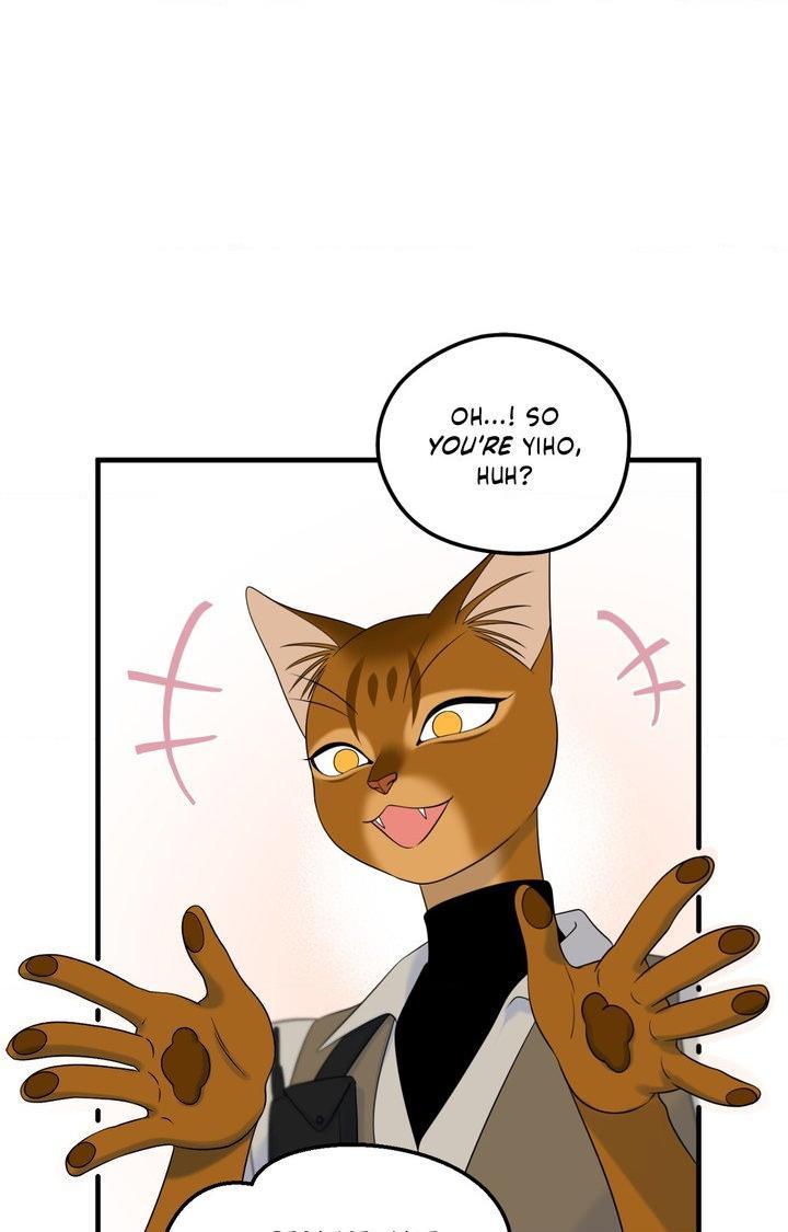 Blue Project Chapter 101 page 82 - 