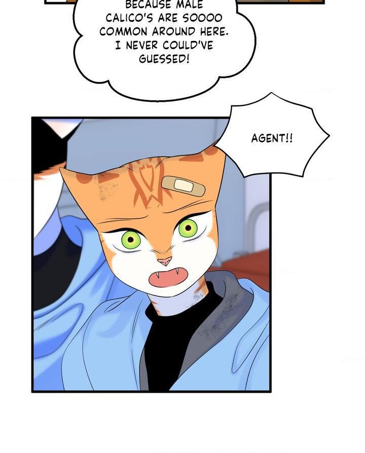 Blue Project Chapter 101 page 83 - 