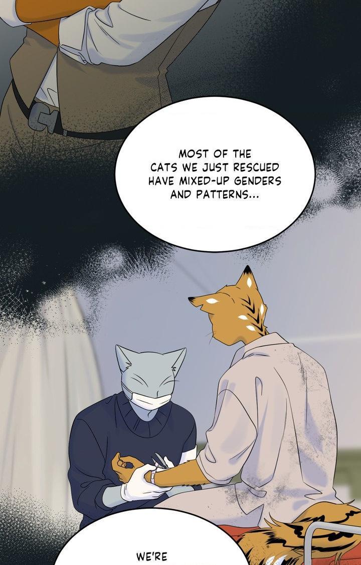 Blue Project Chapter 101 page 85 - 