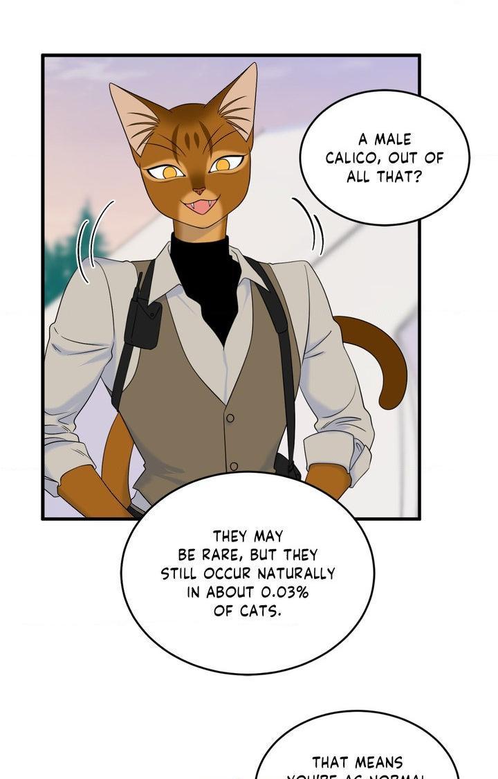 Blue Project Chapter 101 page 87 - 