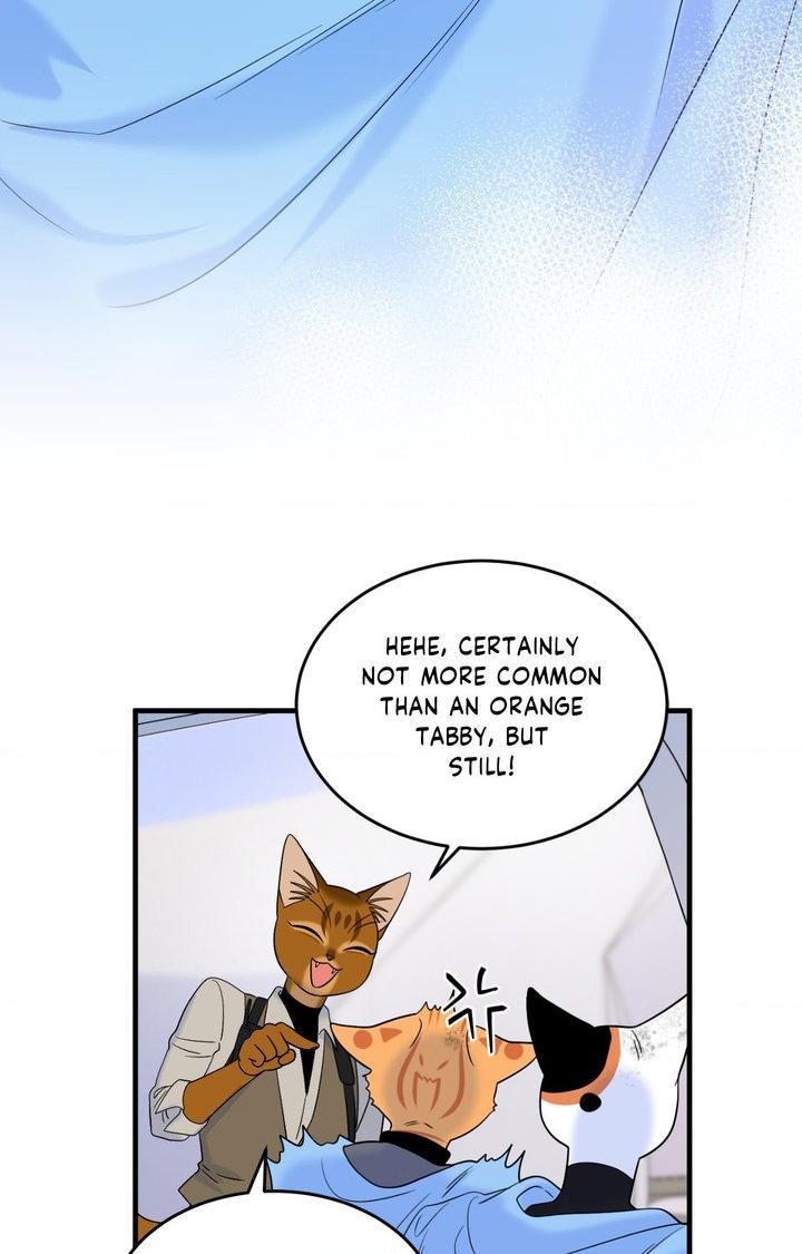 Blue Project Chapter 101 page 89 - 