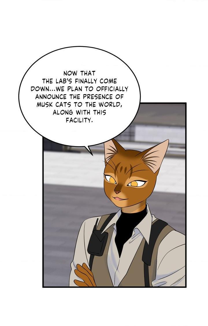 Blue Project Chapter 101 page 97 - 