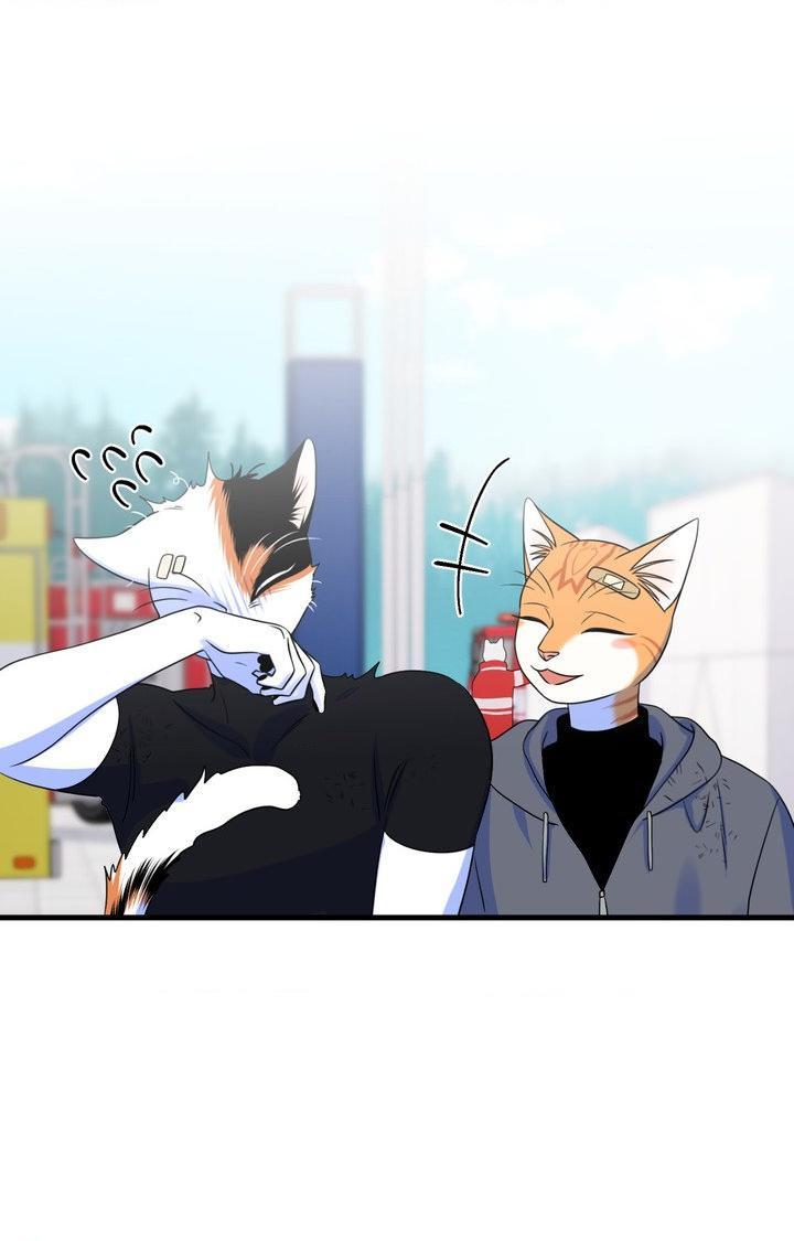 Blue Project Chapter 102 page 19 - 