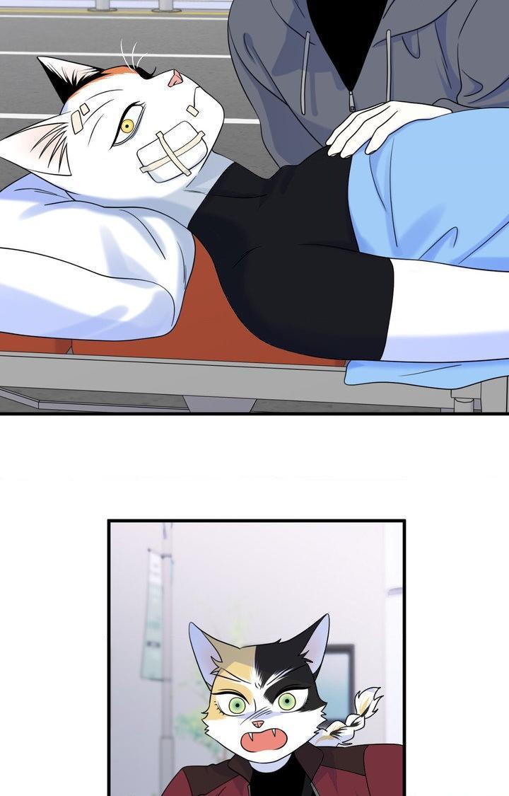 Blue Project Chapter 102 page 35 - 
