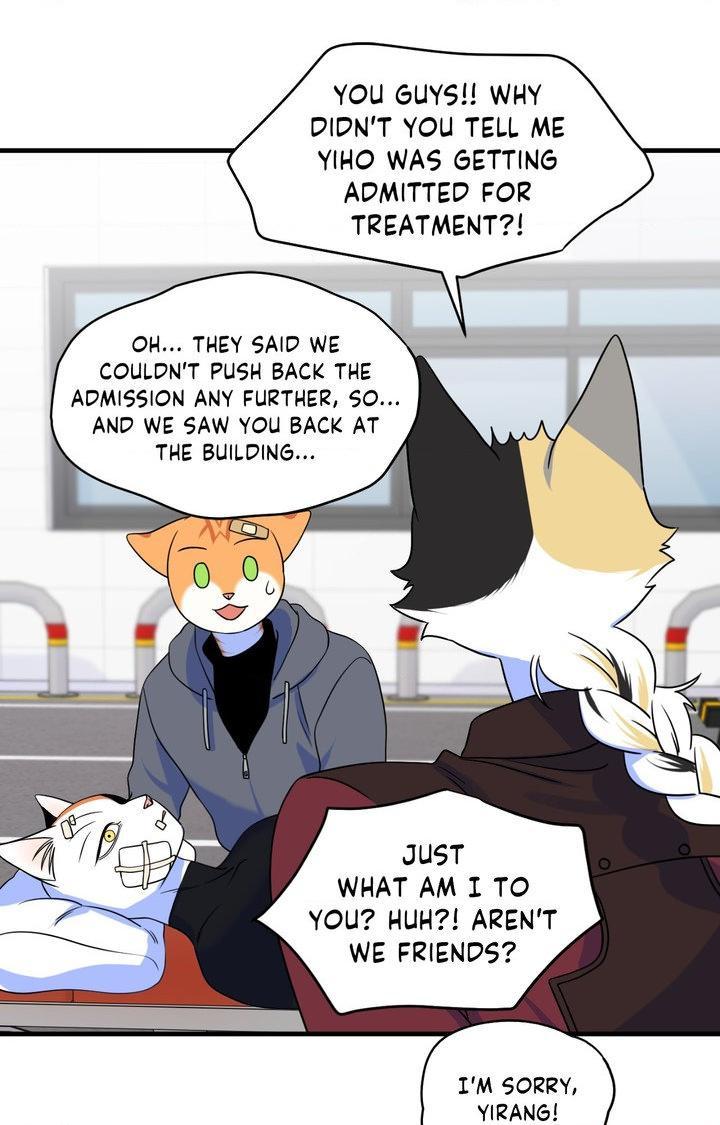 Blue Project Chapter 102 page 37 - 