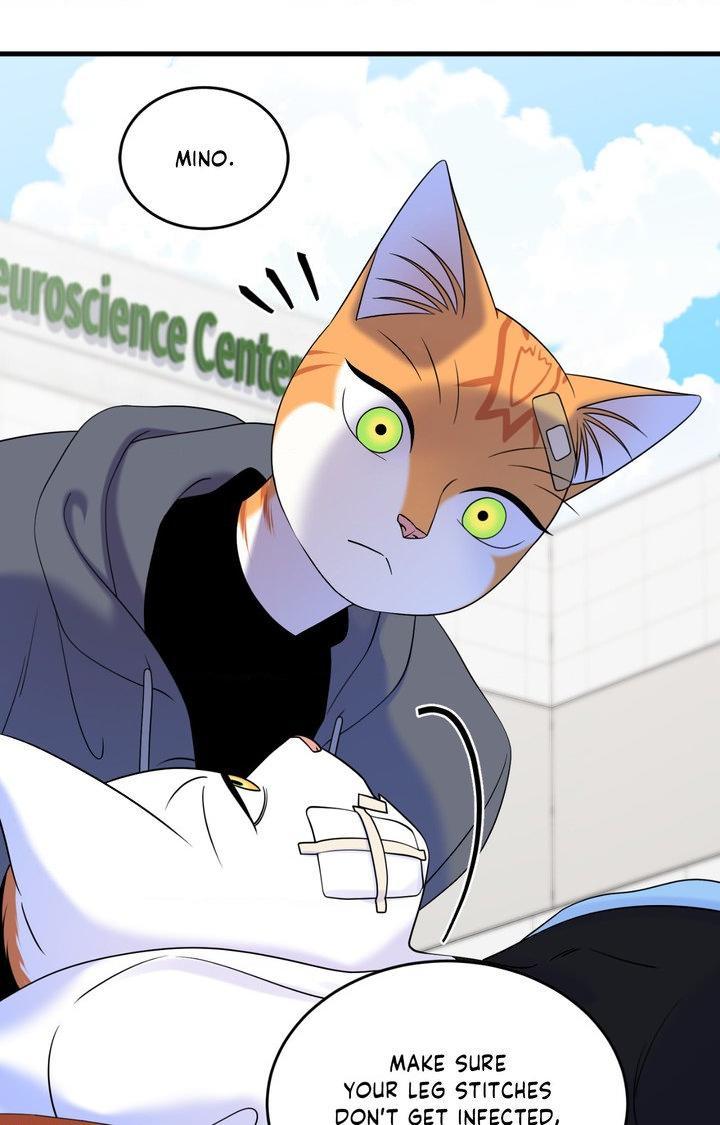 Blue Project Chapter 102 page 42 - 